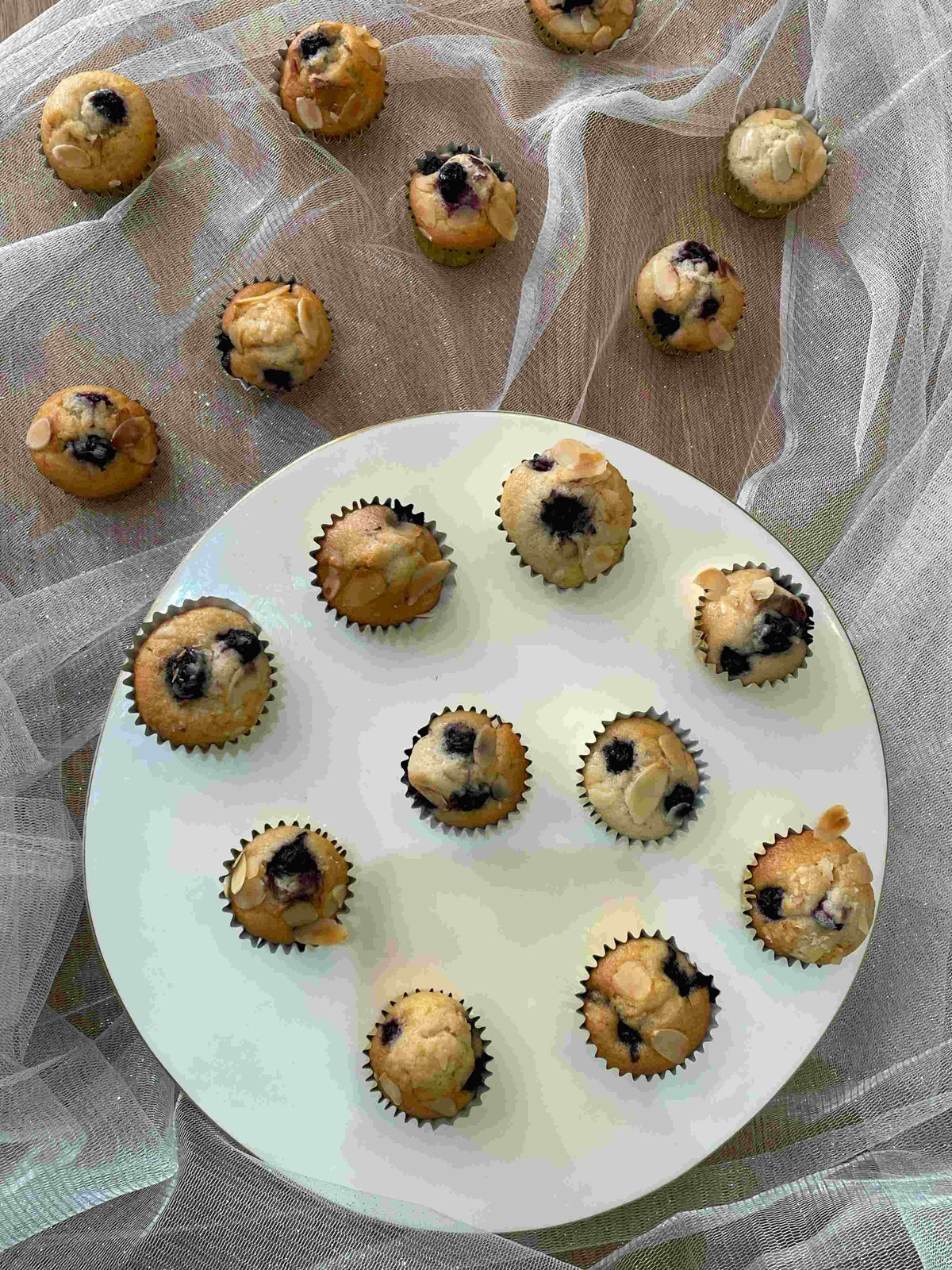 Mini Blueberry Muffin
